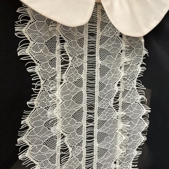 Romeo & Juliet Couture Sheer Blouse - Picture 5 of 12